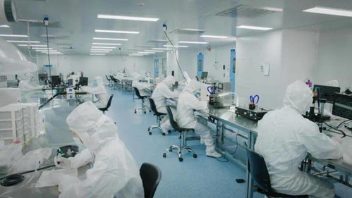 北芯生命遞交招股書(shū) 擬募資12.74億元，加速新材料技術(shù)研發(fā)與產(chǎn)業(yè)化進(jìn)程