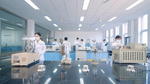 山東高速建材集團(tuán)路用新材料公司以科技創(chuàng)新驅(qū)動(dòng)發(fā)展，深耕新材料技術(shù)研發(fā)